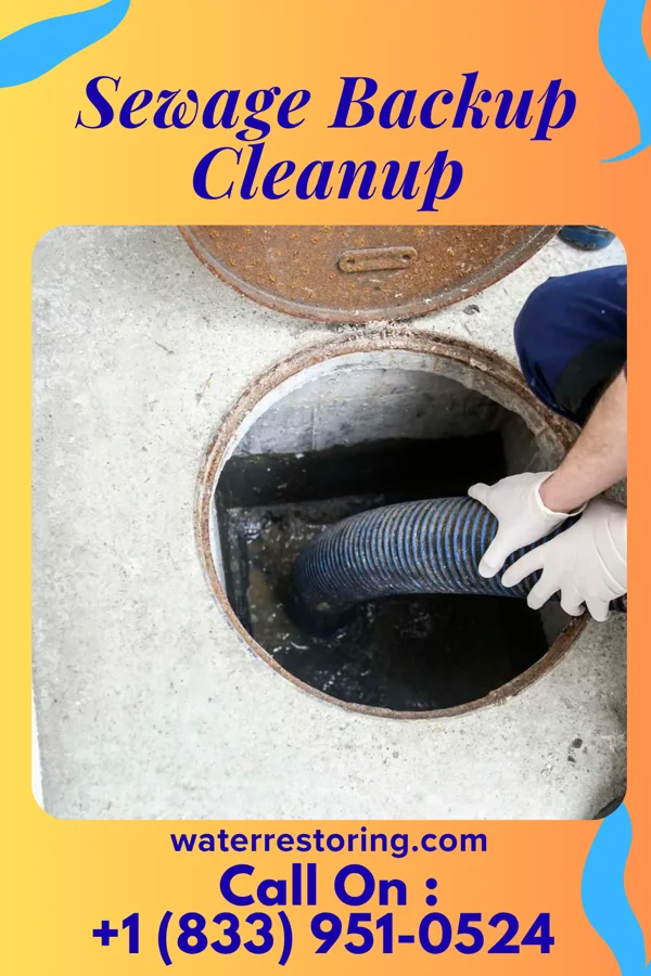 Sewage Backup Cleanup in Brushton, NY